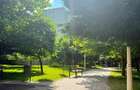 3 Camere PANTELIMON MORARILOR - 8