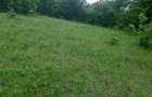 Teren de 2200 mp, în Dăești - 4