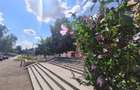 Apartament cu 3 camere decomandat în Răcădău - 2