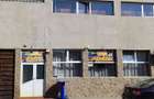 Vand casa 300 mp P + 1 + M cu gradina 100 mp - 2