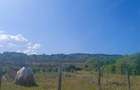Teren intravilant Ionesti, toate utilita?ile, solarii ?i pomi fructiferi - 4