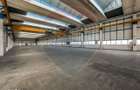 Hala Industriala Aeroport Brasov | Yield 1526% | Ready-to-Operate - 2