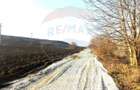 Teren 4.956mp Letea Veche / Calea BARLADULUI - 7