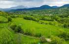 Teren agricol de 11000 mp, în Bran - 12