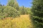 Vatra Dornei - Saru Dornei, Teren S = 6450 mp; La 13 km de Vatra Dornei si la 6 km de Calimani - 2