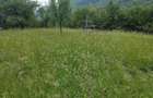 Teren intravilan de vanzare - 5