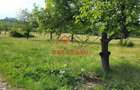 Teren intravilan in Campina, 1490mp--26.820e - 2