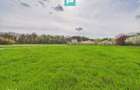 Teren intravilan, 820 mp, Padure Giroc - 5