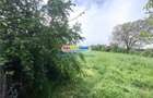Teren intravilan de 2274 mp, în Băicoi - 5