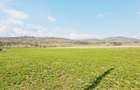 Teren intravilan 8906 mp, Dofteana - 8