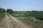 Teren Ordoreanu parcelat ideal investitie - 6