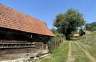 Casă cu 3 camere în Baldovin - 1