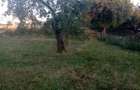 Casa de vanzare Gladna Romana, judetul Timis - 1