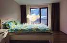 Apartament cu 3 camere semidecomandat în Clăbucet - 8