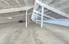 Inchiriez hale industriale (1700 mp / 500 mp) si platforma betonata - 6