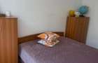 Apartament 3 camere de vanzare | Calea Giulesti | Parcul Marin Preda - 9