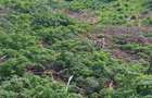Ferma zoothenica 5.85 hectare - 4