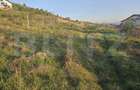 Teren intravilan de 1150 mp, în Sălicea - 3