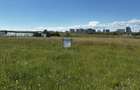 Teren agricol de vanzare, 400 mp, zona linistita - 4