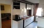 Penthaus de inchiriat, 550E, 6 camere, 140mp - 8