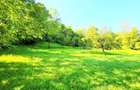 Provita de Sus, Valea Bradului, Jud. Prahova, teren in suprafata de 2870 mp