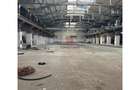 Vanzare spatiu industrialhaladepozit Giurgiu - Port, Giurgiu - 6