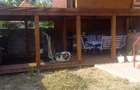 Casă individuală cu 3 camere cu Teren 257 Mp în Giroc - 3