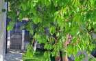 Apartament cu 3 camere decomandat în Cug - 12