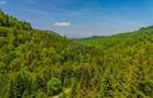 Teren intravilan de 14400 mp, în Cheile Râșnoavei - 10