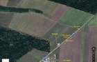 Vand teren padurea Bucovat - 9 km de Craiova - cu deschidere de 350m la drum judetean - 1