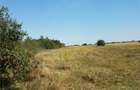 Teren de 1800 mp, în Letca Nouă - 7