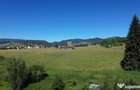 Teren in Bucovina! La Munte! De ! 0727817187 - 2