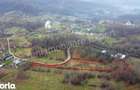 Teren de vanzare in comuna Valea Iasului, jude? Arge?. - 3