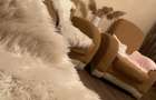 Apartament 2 camere(spatiu comercial) - 5