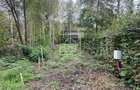 Teren intravilan 520 mp Valea Avrigului ideal cabana A-frame - 4