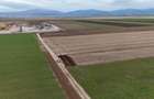 Teren agricol de 15000 mp, în Prejmer - 6