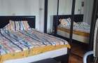 Apartament cu 3 camere semidecomandat în Dacia - 10