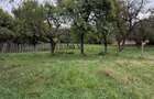 Teren 1.000 mp cu TOATE UTILITATILE - 4