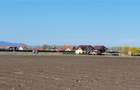 Teren intravilan de 49906 mp, în Stupini - 12
