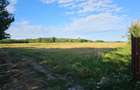 Teren de 11000 mp, în Lăceni - 9