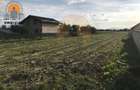 Teren Construcții intravilan de 3600 mp, în Stupinii Prejmerului - 2
