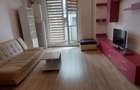 Apartament cu 2 camere semidecomandat în Parcul Carol - 2