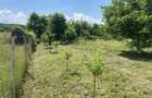 Teren intravilan - municipiul Bacau - 6