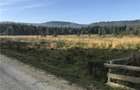 Vand teren Comandau (Covasna) - 5
