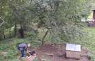 Casa si teren de vanzare - 7