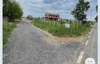 Teren 500 mp Ghermanesti - com.Snagov- la padure- direct proprietar-30 min Bucuresti - 6