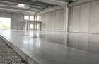 Spațiu industrial, de 523 mp, în Sânandrei - 2