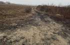 Vand Teren Hemeiusi sat Liliecipe strada prelungirea crinului - 3