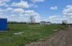 Teren intravilan 704 mp – Siliștea Snagovului | Lângă Pădurea Snagov - 5