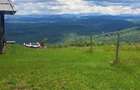Teren Premium Intravilan Suncuius (Pojorata) - Ideal Glamping / Cabane. Panoramic, Padure, Utilitati - 1
